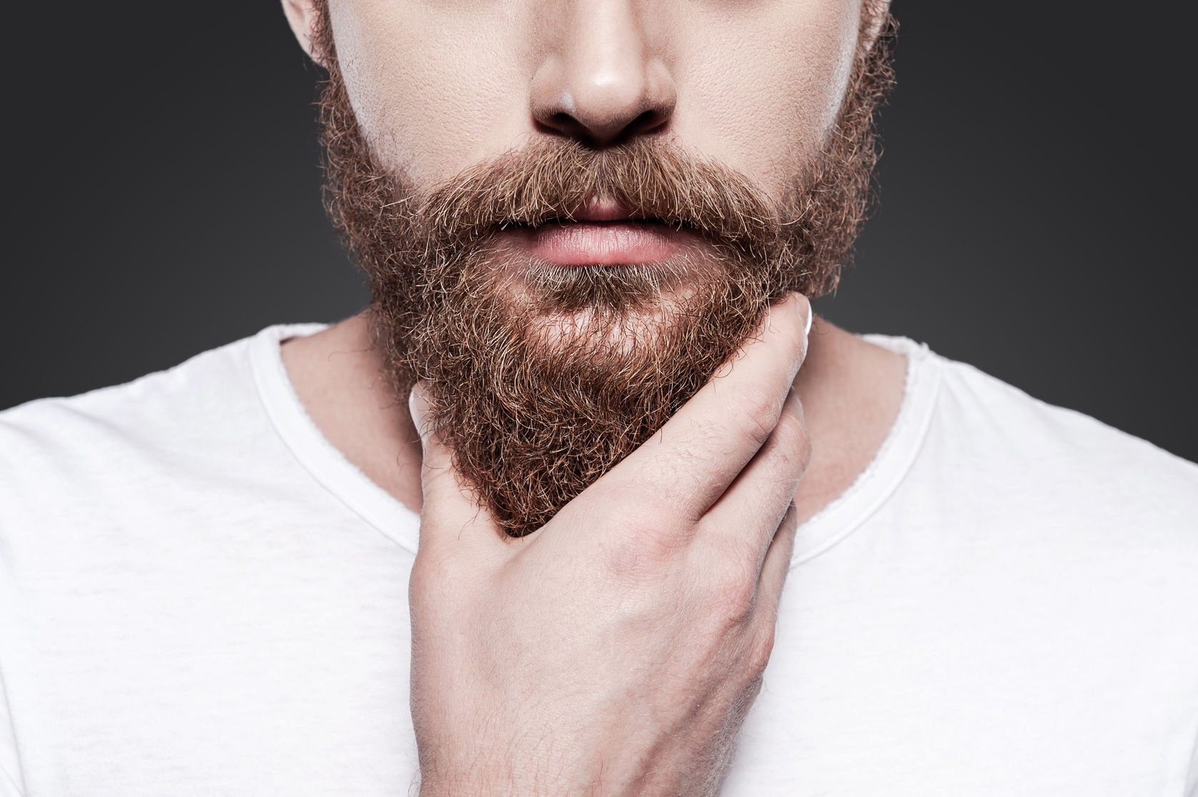 The Best Beard Styles for Your Novembeard